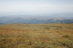 R0041612